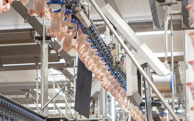 5 questions sur la sélection par vision dans la transformation de la volaille